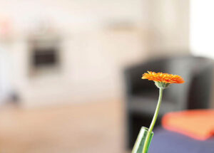 1.OG Apt11 Det2 600x429