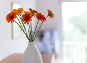 Studio Detail 600x429