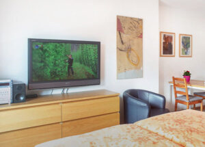 StudioBalkon Fernseher 600x429